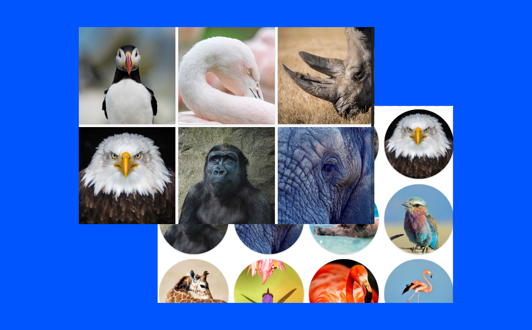 Image Slider